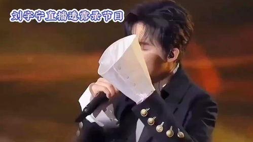 刘宇宁最新爆料内容,娱乐圈背后惊人内幕  第1张